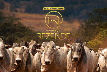 LEILÃO PRESENCIAL TOUROS GRUPO REZENDE